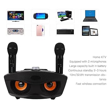 Amazon.com: Yoidesu Karaoke Machine, SD-306 Portable